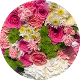 The Brilliant Roses pink seasonal box