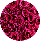 Hot Pink roses in round flower box - The Brilliant Roses
