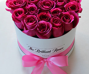 Roses in White round flower box