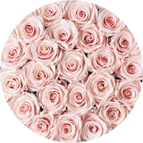 Pink ETERNAL roses in round flower box