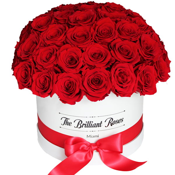 DOME ETERNAL Roses Round box