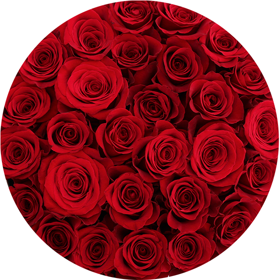 DOME Roses Round box