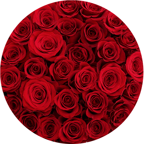 DOME Roses Round box