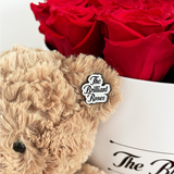 # The Brilliant Bear