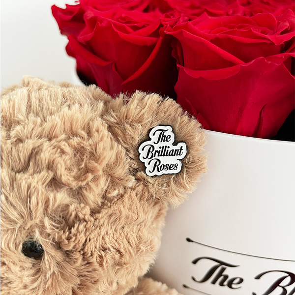 # The Brilliant Bear