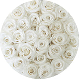 white preserved roses top view the brilliant roses