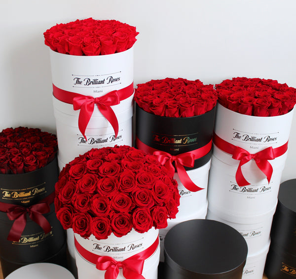 1 Red ETERNAL roses round flower box The Brilliant Roses